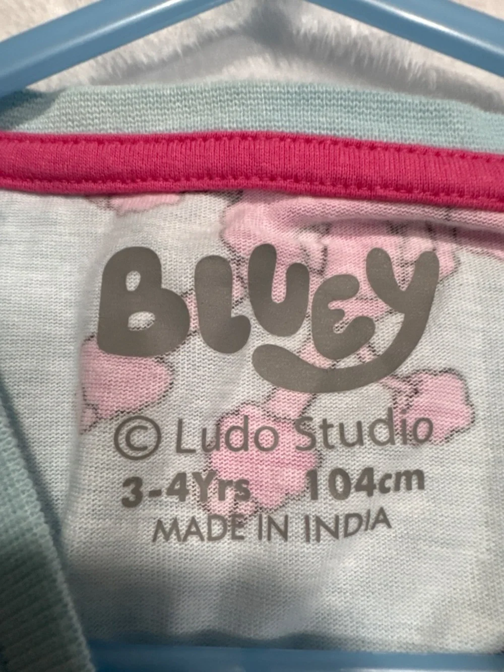Bluey owned pictures